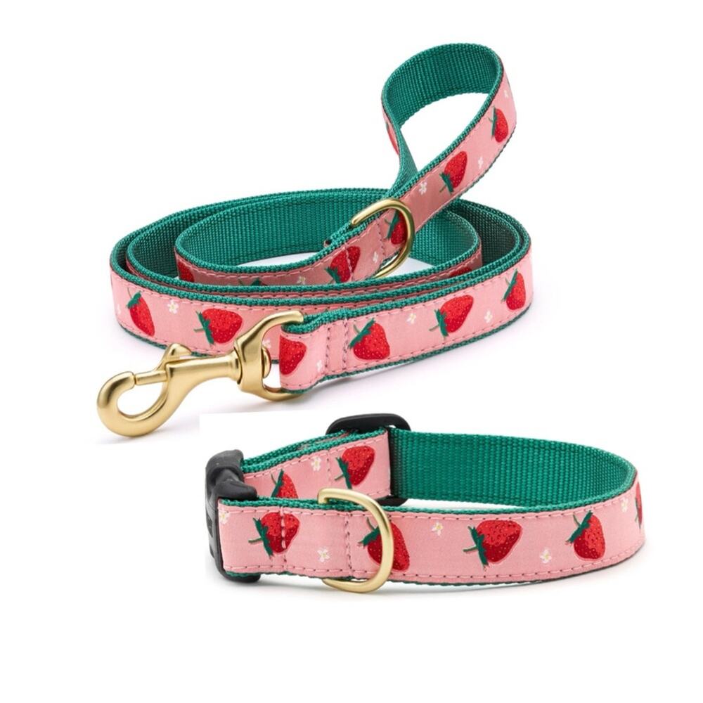 Up Country Strawberry Fields Dog Medium Collar Matching Lead Leash 2PC Set USA